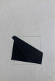 Anterior