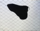 Anterior