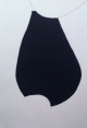 Anterior